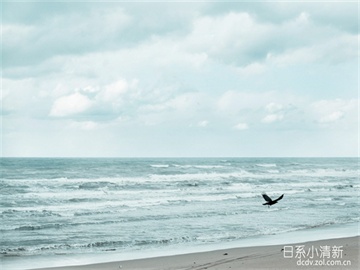 股票涨停后第二天走势预测，具体情况分析来决定是否继续上涨