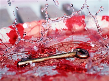 股票涨停后第二天走势预测，具体情况分析来决定是否继续上涨