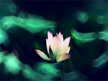 日本自卫队干扰辽宁舰编队训练，严重影响中方正常训练活动