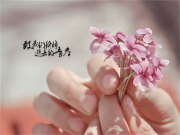 住房公积金个人提取指南，不买房如何提取及到账时间解析