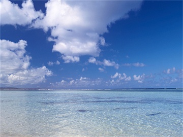 撤销失信后征信恢复详解，五年后删除与信用重建