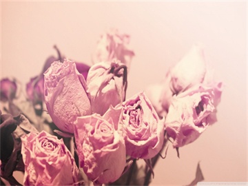 股票主力流出却仍上涨的原因揭秘