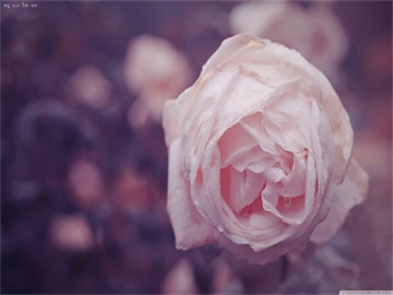 赖清德在美媒大放厥词，外交部斥其为和平破坏者——台海局势再掀波澜