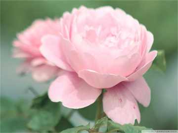 申万宏源报告，2026年美国劳动力市场的大逆转与再平衡展望