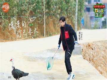 手机退保，特定情况下的保险退订操作