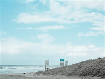 股票主力流出却仍上涨的原因揭秘