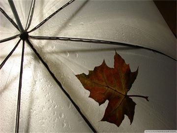 揭秘出险记录跟随对象，车辆还是车主？答案揭晓！