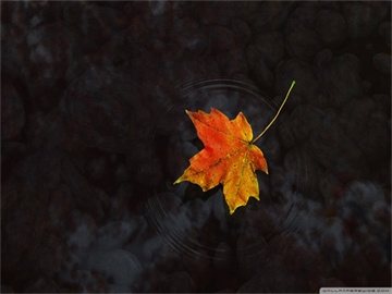 北交所退市公司处理机制及退市后交易可能性探讨