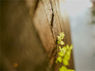 公积金贷款申请流程及注意事项，是否需要打印银行流水和收入证明？