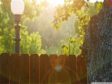 71岁苏增添被判死缓，受贿近2亿，涉及三项罪名