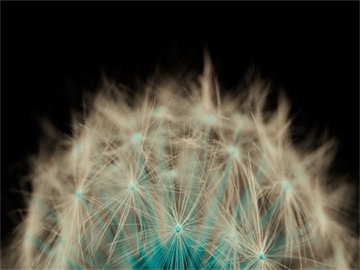 住房公积金个人提取指南，不买房如何提取及到账时间解析