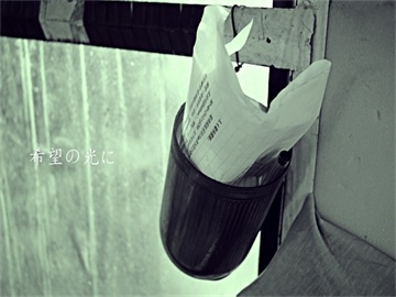 不买车损险，自己全责如何处理赔偿问题？