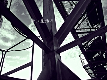 股票主力流出却仍上涨的原因揭秘