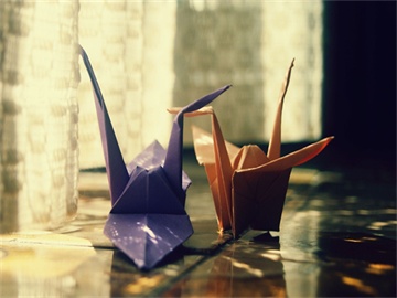 车辆失窃，保险公司是否赔偿？答案揭晓