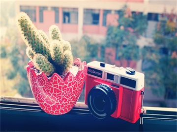 赖清德在美媒大放厥词，外交部斥其为和平破坏者——台海局势再掀波澜