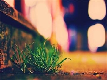 公积金余额几万块能否申请贷款？解读申请条件与流程