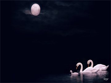 股票主力流出却仍上涨的原因揭秘