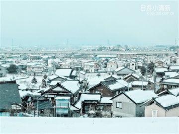 车辆保险购买指南