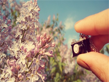 车险最大保险公司揭秘